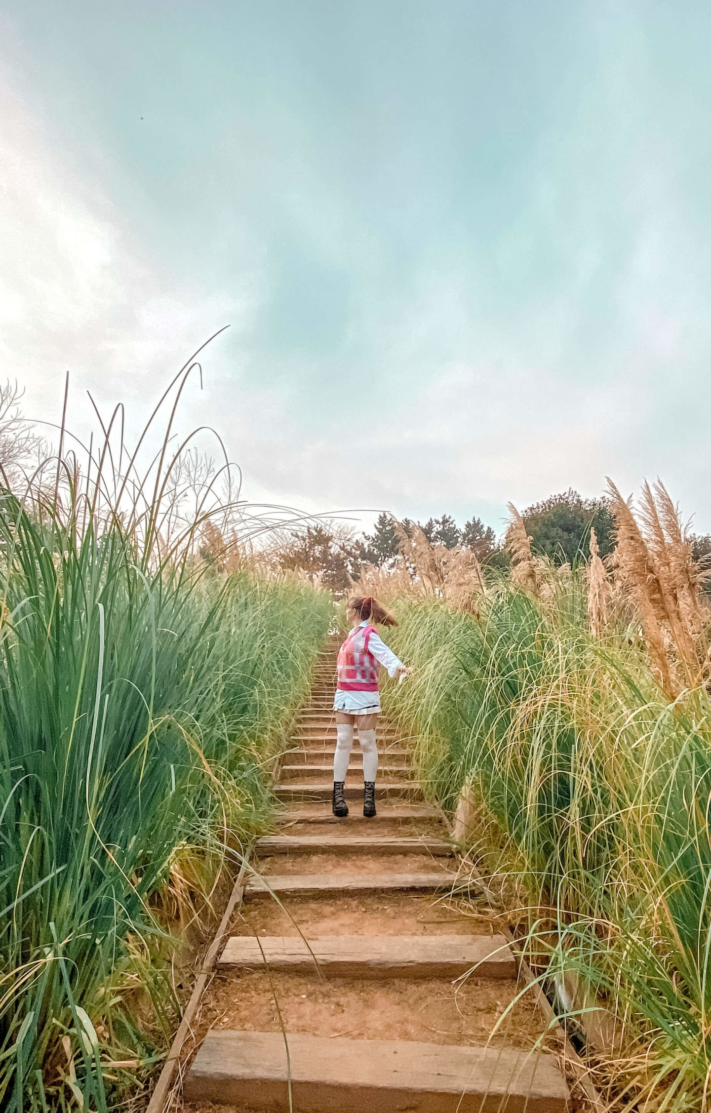 fii standing in a central path among tall pampas grass at farm kamille